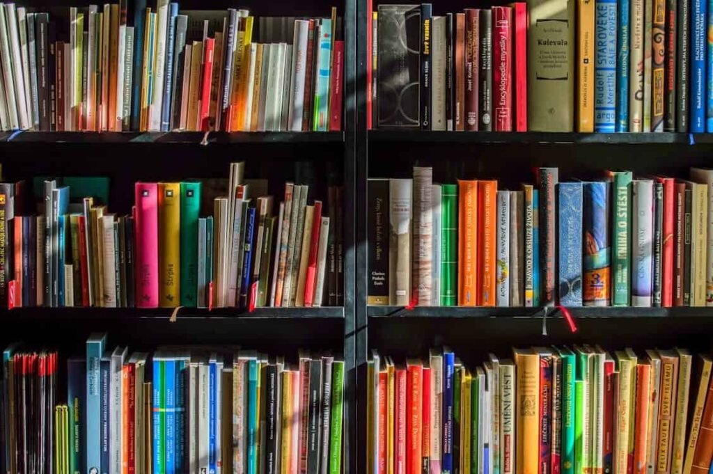 Colorful bookshelf filled with a variety of books, symbolizing educational and intellectual investment gifts for young adults to build knowledge and long-term personal growth.